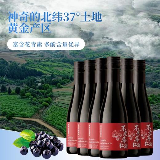 热卖中！山东青岛贵伦堡农庄·君燚庄园不老莓红酒 商品图4
