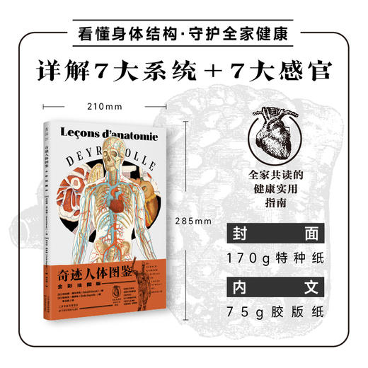 【热卖】奇迹人体图鉴（全彩挂图版，含平装科普书1册、大幅手绘挂图39幅，大16开套盒装） 商品图4