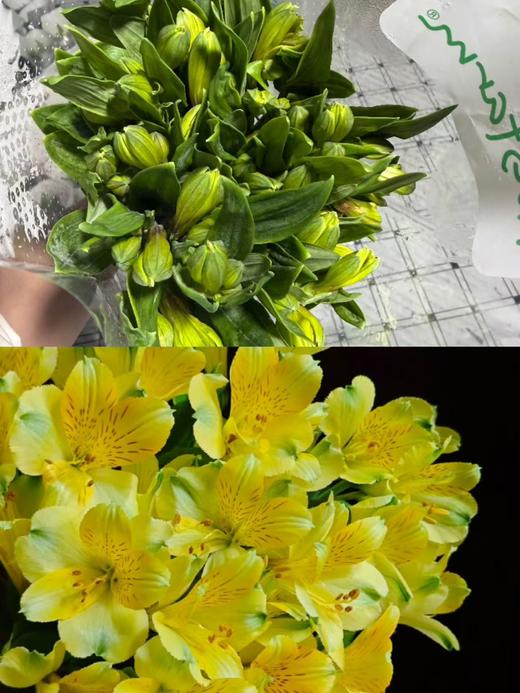 海盛黄色六出花水仙百合花10支 商品图0