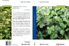 A Catalogue of Asian Liverworts and Hornworts 贾渝 9787030777485 商品缩略图2