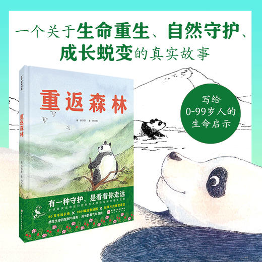 【5-10岁】重返森林（大熊猫淘淘的真实故事） 商品图0
