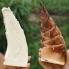 甜龙竹笋丨夏日限定款实心笋，现挖现发，可生吃，可食率高达55％，没有苦涩味，鲜嫩清甜。⭐️顺丰冷链 商品缩略图9