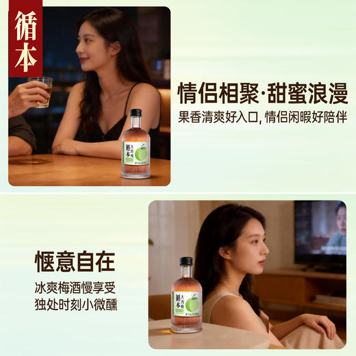 【两瓶装】（再赠一瓶）百年糊涂出品循本青梅酒 12度 低糖 300ml*2瓶 新品限时特惠 商品图6