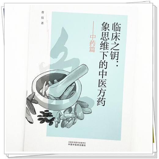 临床之钥:象思维下的中医方药(中药篇)曹俣 著 中国中医药出版社 商品图3