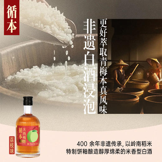 【两瓶装】（再赠一瓶）百年糊涂出品循本青梅酒 12度 荔枝味 300ml*2瓶 新品限时特惠 商品图3