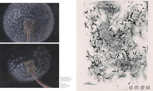 法文原版 | La parade des fleurs: lecons de peinture / 花之巡游：绘画课 商品图4