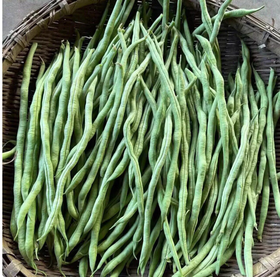 【QT】新鲜蔬菜豆王