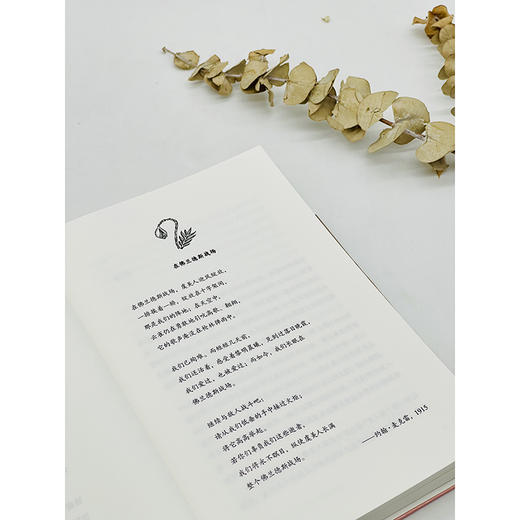 神秘的罂粟：跨越三千年的人类学解读(自然文库) 商品图8