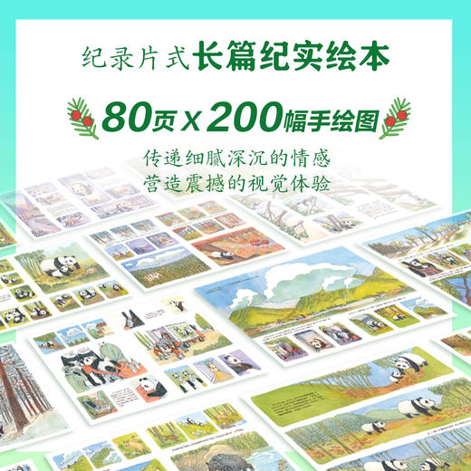 【5-10岁】重返森林（大熊猫淘淘的真实故事） 商品图4