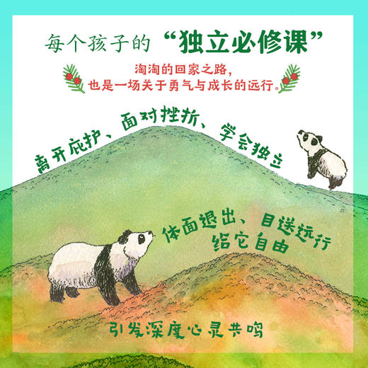 【5-10岁】重返森林（大熊猫淘淘的真实故事） 商品图2