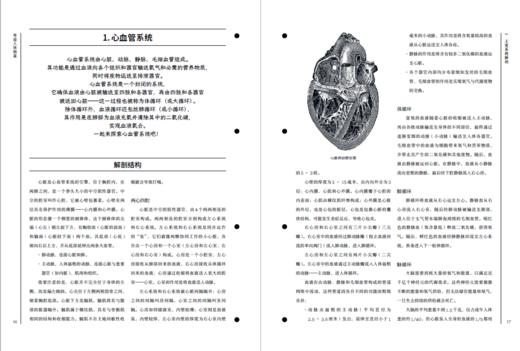 【热卖】奇迹人体图鉴（全彩挂图版，含平装科普书1册、大幅手绘挂图39幅，大16开套盒装） 商品图9