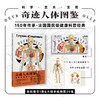 【热卖】奇迹人体图鉴（全彩挂图版，含平装科普书1册、大幅手绘挂图39幅，大16开套盒装） 商品缩略图0
