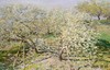 法文原版 | Monet: par-dela l'horizon / 莫奈：地平线之外 商品缩略图3