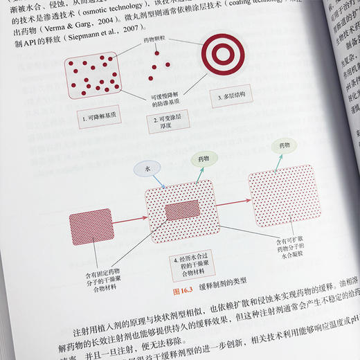 药物发现与开发：技术转化（原书第3版） 商品图5