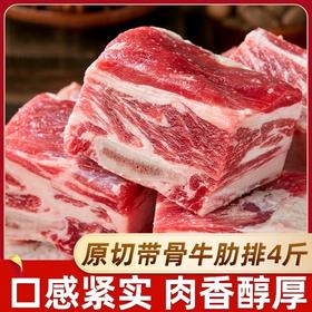 【肥瘦相间】物源初见 原切带骨牛肋排（精选中段）500g*2袋 大块原切肉质鲜美