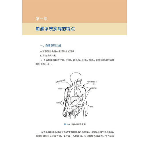 微创技术在血液系统疾病诊断中的应用 张培先 邓磊 丁万宝 戴辉 主编 血液系统疾病的特点等 9787559143105 辽宁科学技术出版社 商品图2