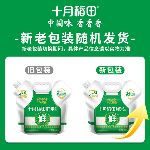 当季新米！【胖东来同款】十月稻田鲜米5斤 商品图1