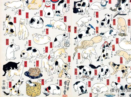 法文原版 | Les chats par les grands maitres de l'estampe japonaise / 日本版画大师笔下的猫 商品图2