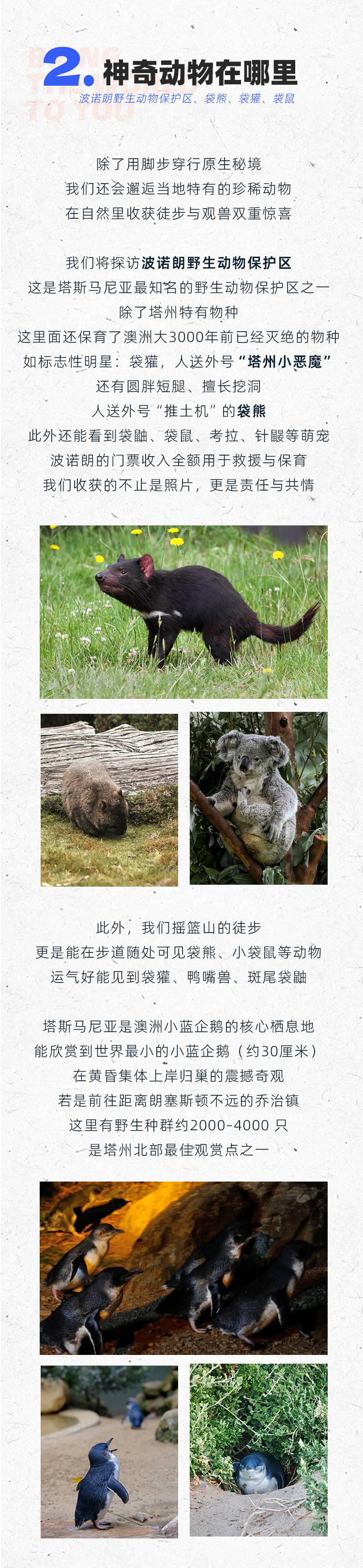 路线亮点 4