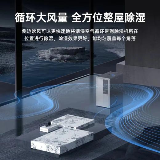 霍尼韦尔35L除湿机 家用抽湿机除潮空气干衣机抽湿器大功率静音 商品图2