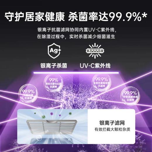 霍尼韦尔35L除湿机 家用抽湿机除潮空气干衣机抽湿器大功率静音 商品图3