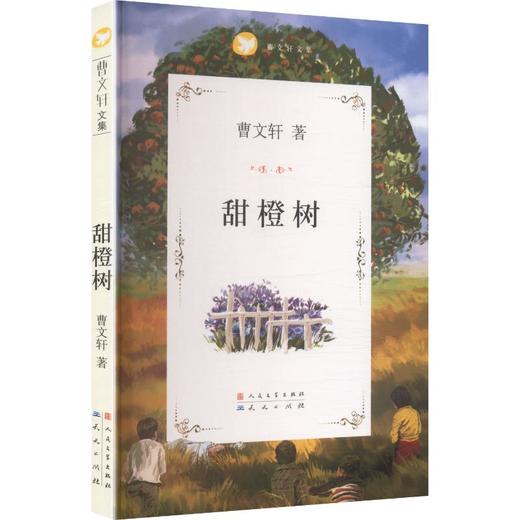 甜橙树 商品图0