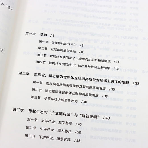 智能体互联网：人机协同破局，重启增长新周期 智能体经济多智能体系统AIAgent新质生产力数字基建产业互联网协同智能 商品图3