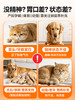 普安特补血肝精猫咪狗狗产后术后贫血宠物补血补铁保肝护肝营养剂 商品缩略图1