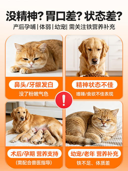 普安特补血肝精猫咪狗狗产后术后贫血宠物补血补铁保肝护肝营养剂 商品图1