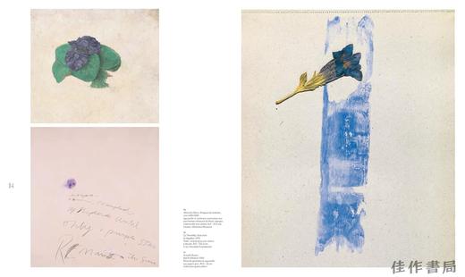 法文原版 | La parade des fleurs: lecons de peinture / 花之巡游：绘画课 商品图2