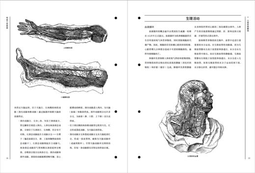 【热卖】奇迹人体图鉴（全彩挂图版，含平装科普书1册、大幅手绘挂图39幅，大16开套盒装） 商品图10