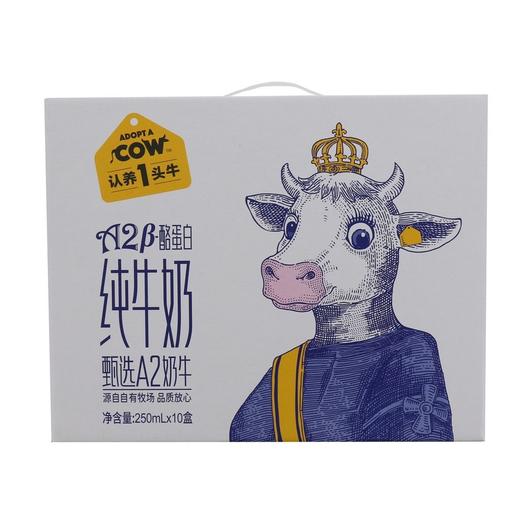 认养一头牛250mlA2梦幻盖纯牛奶*10 商品图2