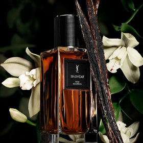 YSL 圣罗兰 高定衣典系列-豹纹 YSL Yves Saint Laurent Babycat 分装