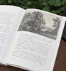《读画》二0二五年·第三期

主编 范景中 余旭红
执行主编 巨若星
主管 中国美术学院
主办 中国美术学院
编辑 《读画》编辑部
出版 中国美术学院出版社
出版日期 2025年6月 商品缩略图13