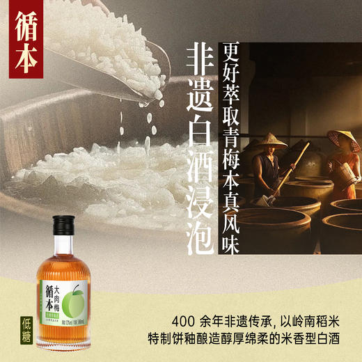 【两瓶装】（再赠一瓶）百年糊涂出品循本青梅酒 12度 低糖 300ml*2瓶 新品限时特惠 商品图3