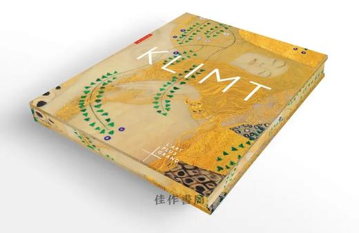 法文原版 | Klimt: L'art plus grand / 克里姆特：更伟大的艺术 商品图0