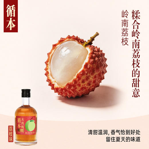 【两瓶装】（再赠一瓶）百年糊涂出品循本青梅酒 12度 荔枝味 300ml*2瓶 新品限时特惠 商品图5