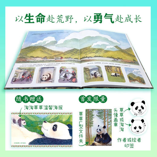 【5-10岁】重返森林（大熊猫淘淘的真实故事） 商品图1