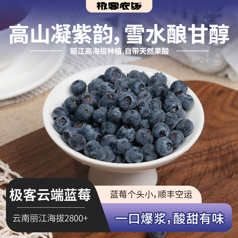 极客云端蓝莓| 丽江高海拔种植，一口爆浆，自带天然果酸，酸甜有味，带酸味是品种特点，不能吃酸勿拍。冰箱冷藏储存4小时以上脆度会增加。⭐️顺丰特快