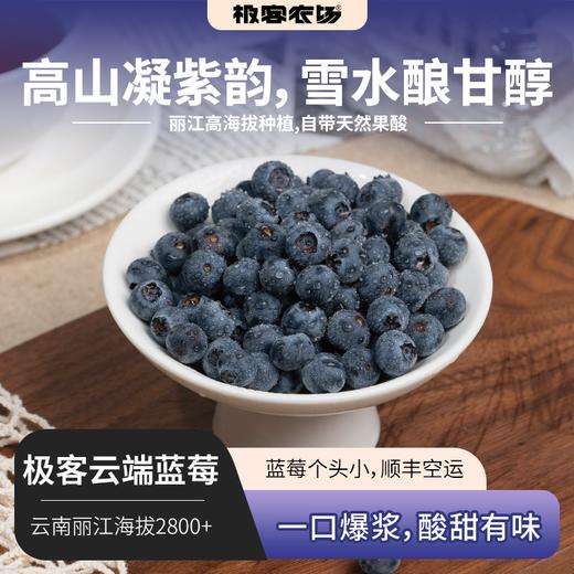 极客云端蓝莓| 丽江高海拔种植，一口爆浆，自带天然果酸，酸甜有味，带酸味是品种特点，不能吃酸勿拍。冰箱冷藏储存4小时以上脆度会增加。⭐️顺丰特快 商品图0