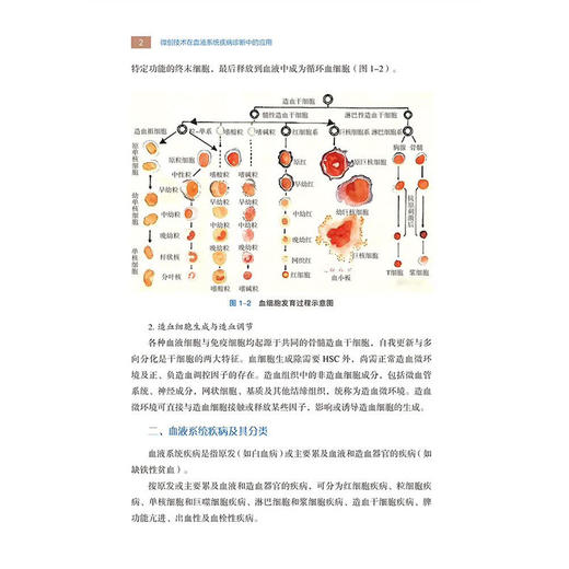 微创技术在血液系统疾病诊断中的应用 张培先 邓磊 丁万宝 戴辉 主编 血液系统疾病的特点等 9787559143105 辽宁科学技术出版社 商品图3