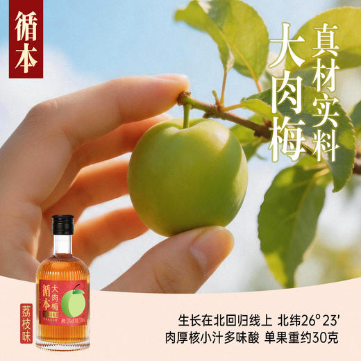 【两瓶装】（再赠一瓶）百年糊涂出品循本青梅酒 12度 荔枝味 300ml*2瓶 新品限时特惠 商品图2