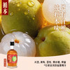 【两瓶装】（再赠一瓶）百年糊涂出品循本青梅酒 12度 荔枝味 300ml*2瓶 新品限时特惠 商品缩略图4
