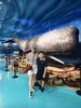 【纯棉牛仔短裤】包容性特强！99%棉 砂洗软牛仔 利落清凉 修饰腿型 遮肉显瘦 商品缩略图3