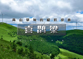 1日｜喜鹊梁｜云端草甸徒步の看漫山绿意起伏，风车牛羊-喜鹊梁环穿10公里徒步穿越