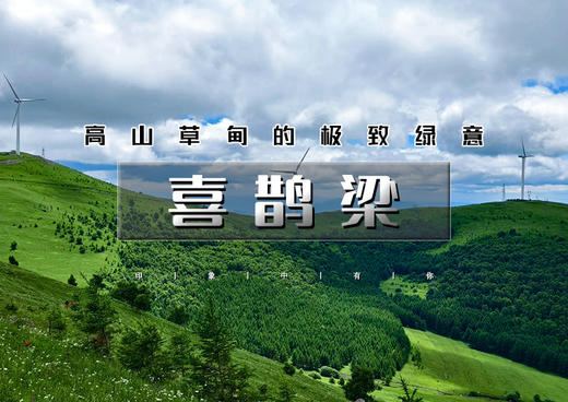 1日｜喜鹊梁｜云端草甸徒步の看漫山绿意起伏，风车牛羊-喜鹊梁环穿10公里徒步穿越 商品图0