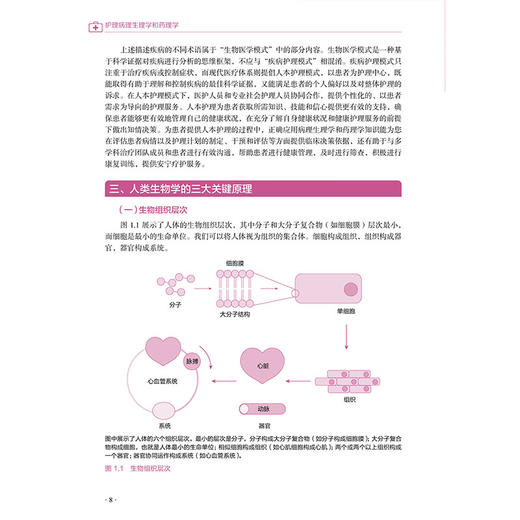 护理病理生理学和药理学 第3三版 戴晓萍 方政晗 徐丽娟 刘春利 主编 炎症反应 感染等 9787559146175 辽宁科学技术出版社 商品图4