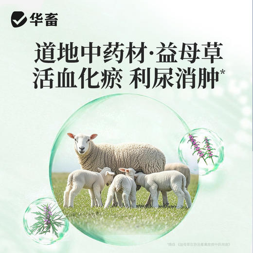 宫净100ml 产后冲洗排恶露 产后保健子宫清理 母畜消炎 商品图2