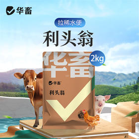 华畜利头翁 清热解毒 化湿止痢 肠炎腹泻鸡鸭鹅通用