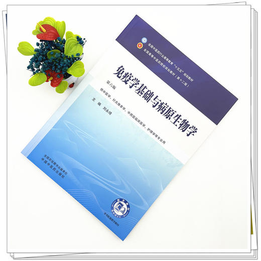 免疫学基础与病原生物学 刘永琦 主编（第六版）全国中医药行业高等教育十五五规划教材第十二版 中国中医药出版社 商品图1